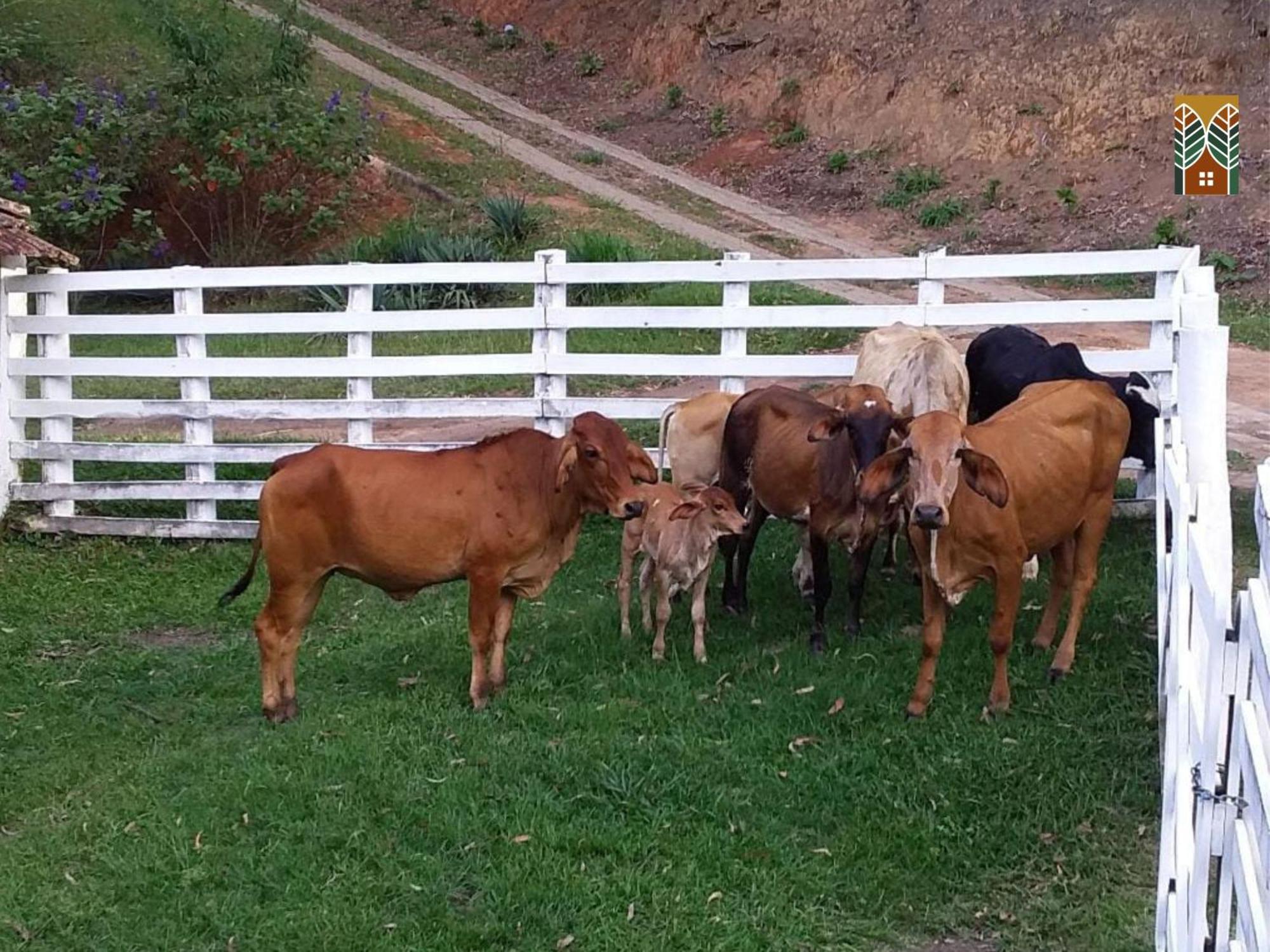 Chales Vinhas Da Harmonia L Pousada Em Cunha Sp Quarto foto
